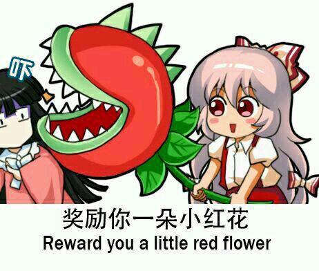 奖你一朵小红花