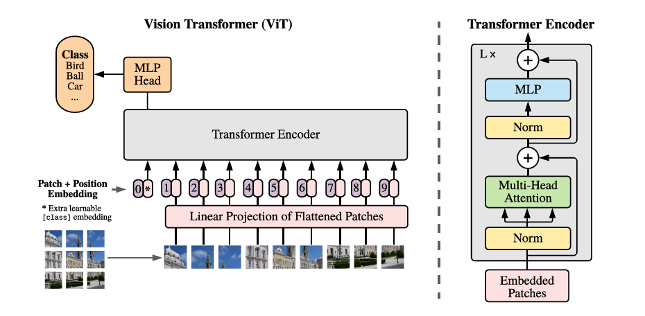 图2 Vision Transformer