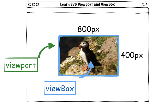 svg viewport and viewBox
