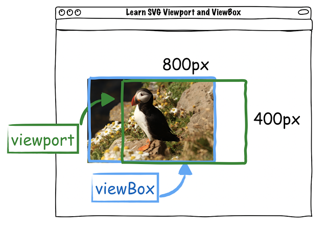 SVG viewport and viewBox
