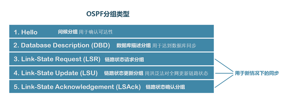 OSPF的五种分组类型