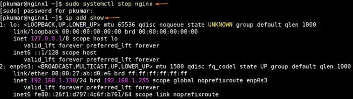 nginx-service-stop-node1